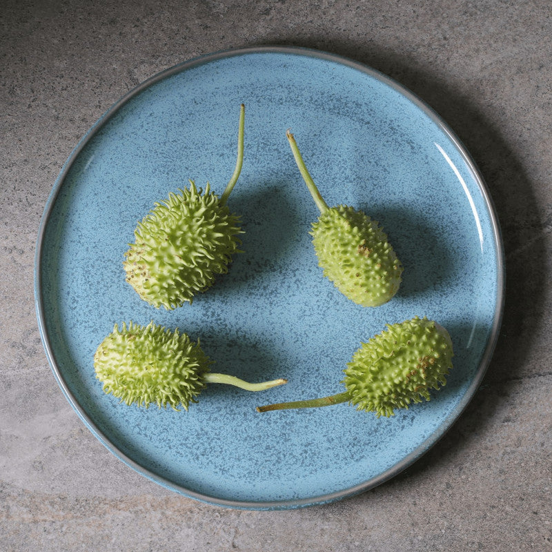 The Buffet Plate Set — Set of 6
