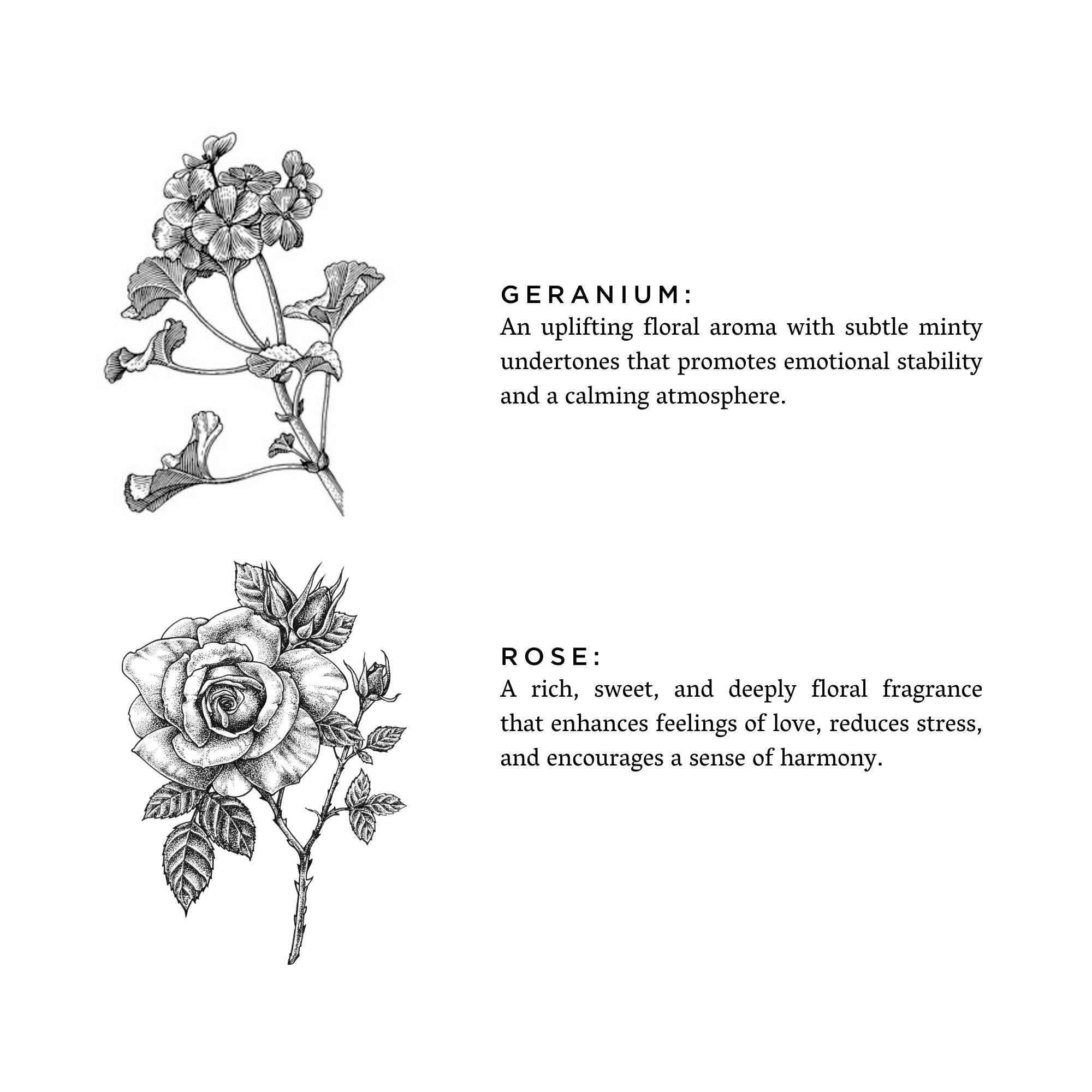 The Geranium + Rose Candle.