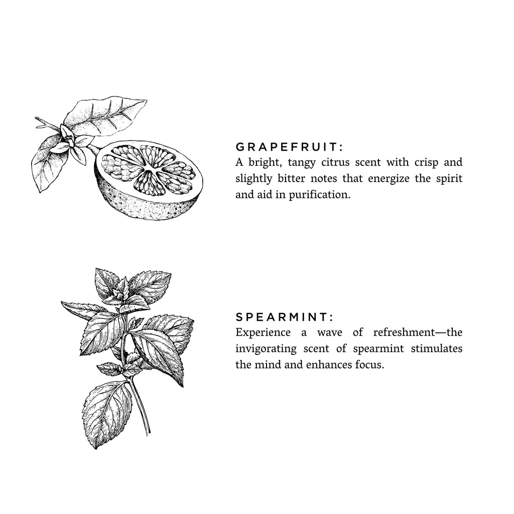 The Grapefruit + Spearmint Reed Diffuser.